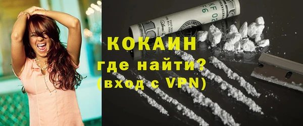 ГАЛЛЮЦИНОГЕННЫЕ ГРИБЫ Арсеньев