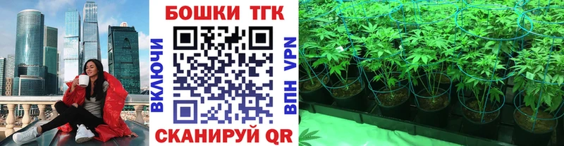 Канабис индика  Байкальск 